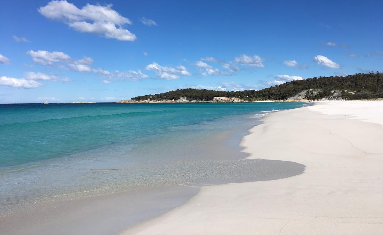 Photo de Taylors Beach avec sable fin blanc de surface
