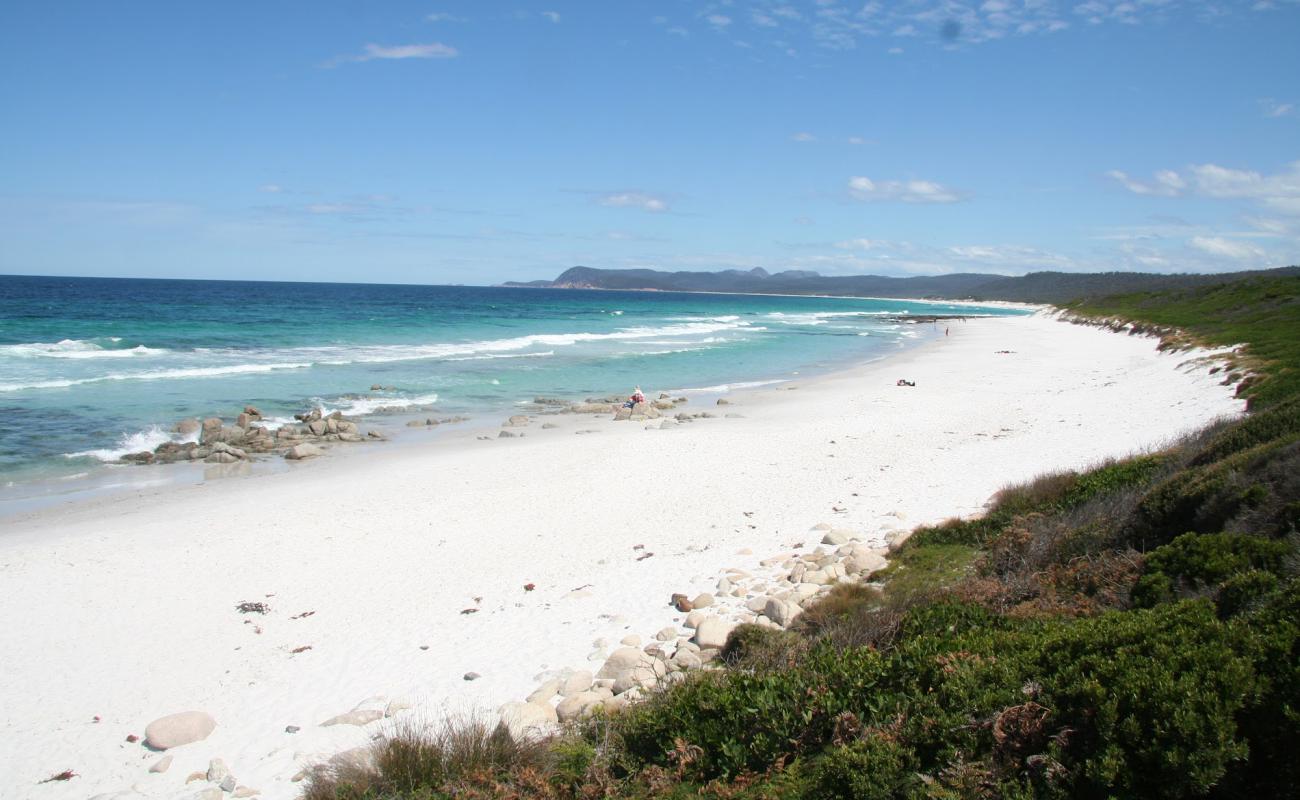 Photo de Binalong Bay avec sable fin blanc de surface