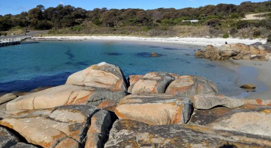 Beerbarrel Beach