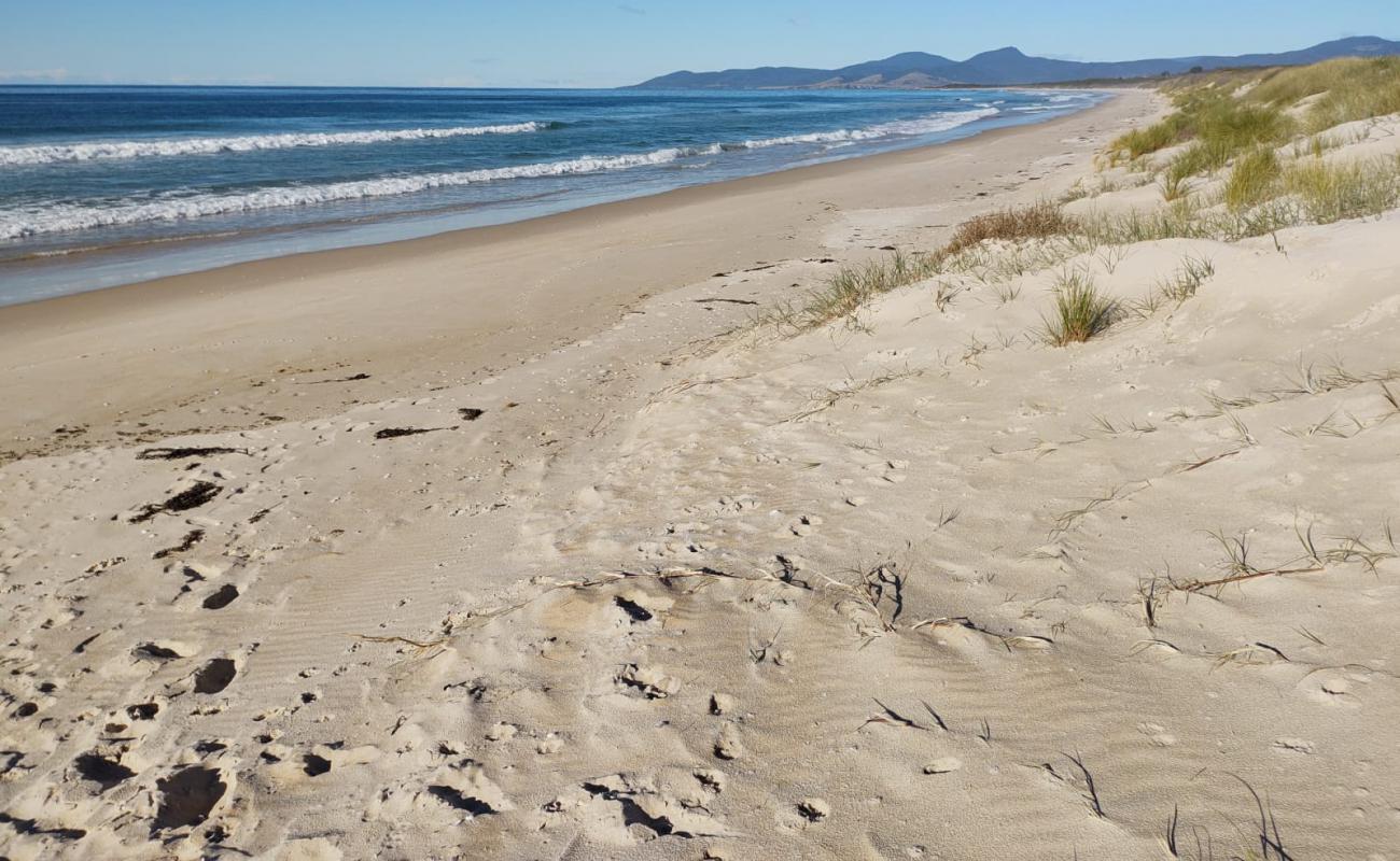 Photo de Beaumaris Beach avec sable lumineux de surface