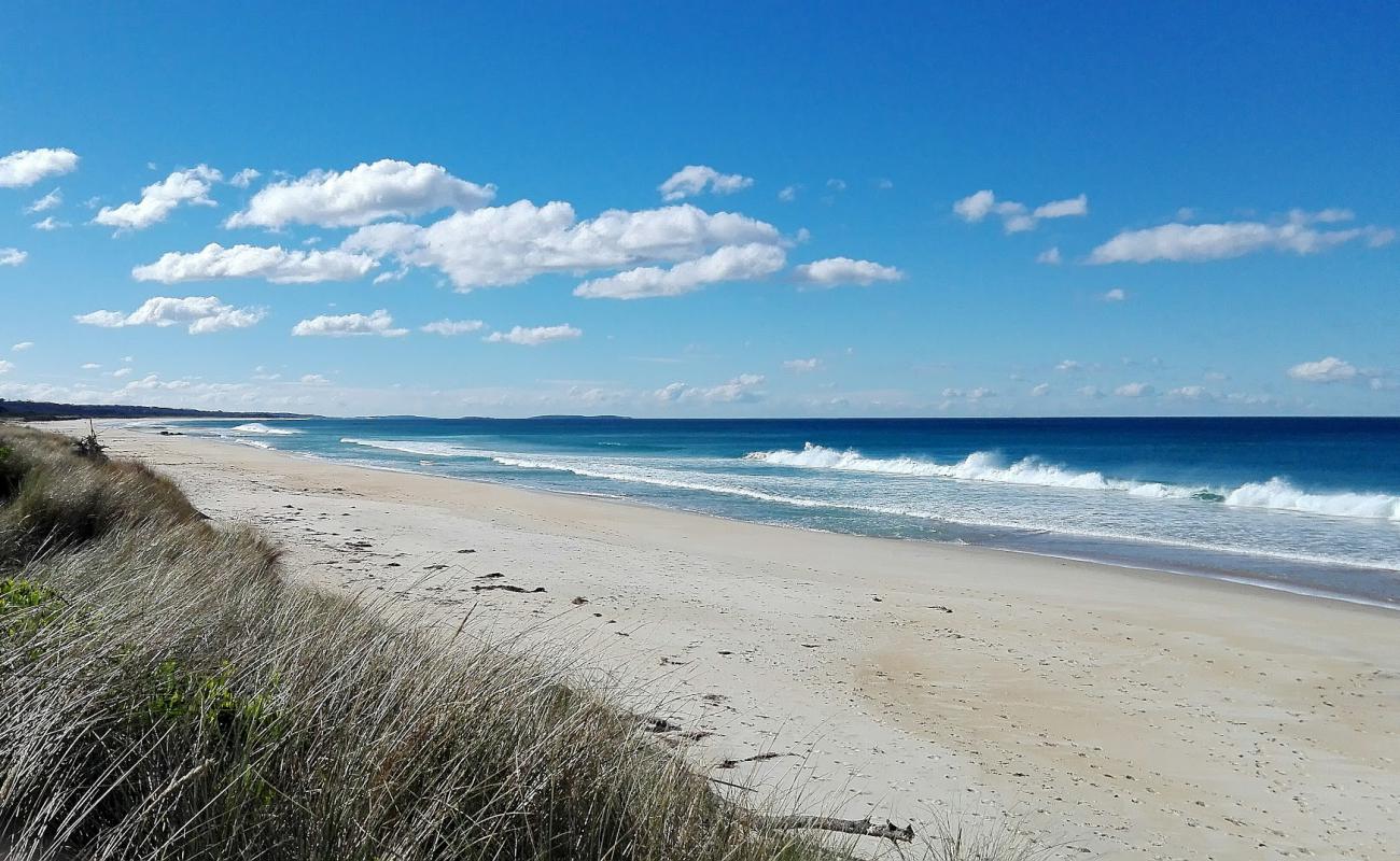 Photo de Steels Beach avec sable lumineux de surface