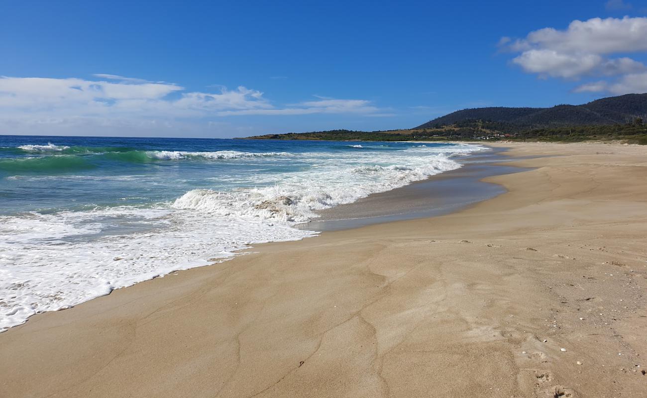 Photo de Four Mile Creek Beach avec sable lumineux de surface