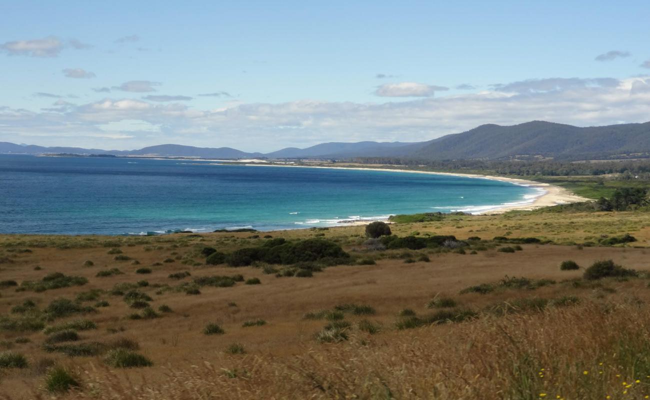 Photo de Seymour Beach avec sable lumineux de surface