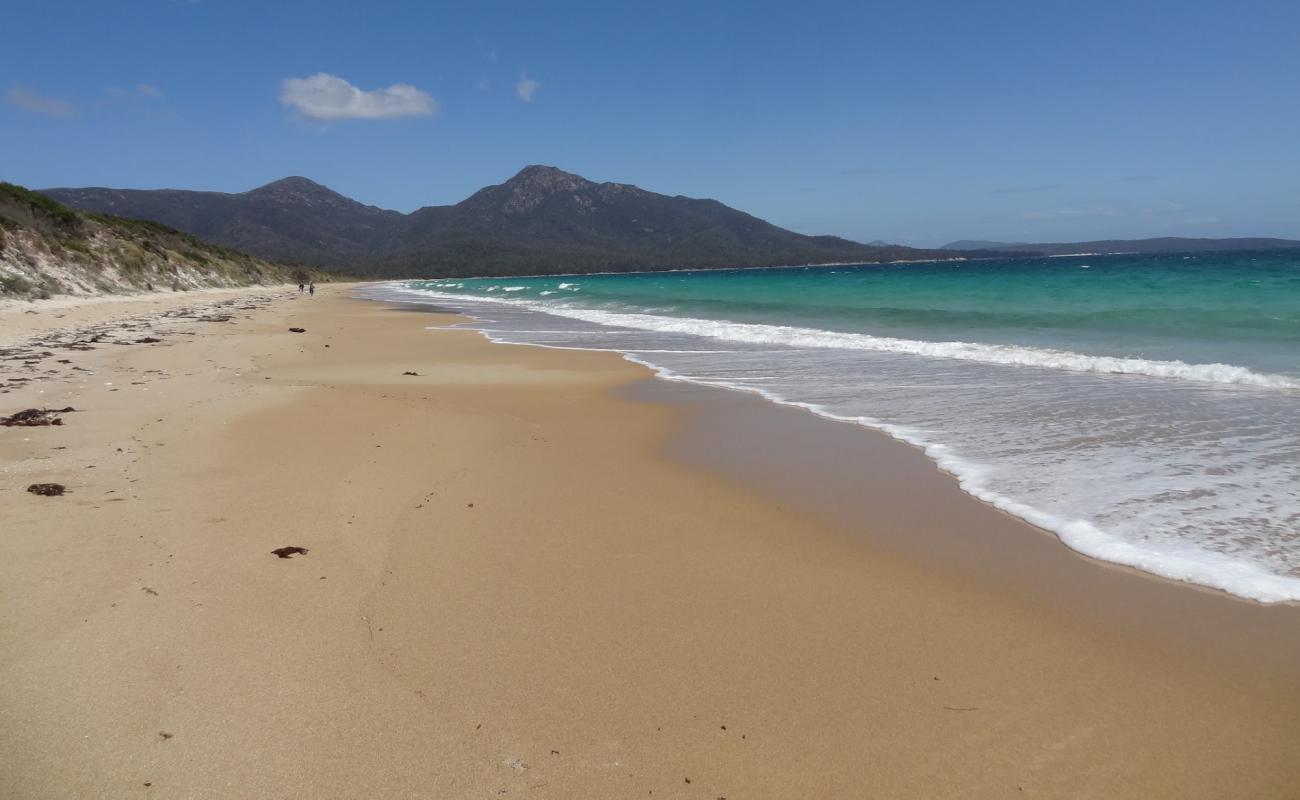 Photo de Cooks Beach avec sable brillant et rochers de surface