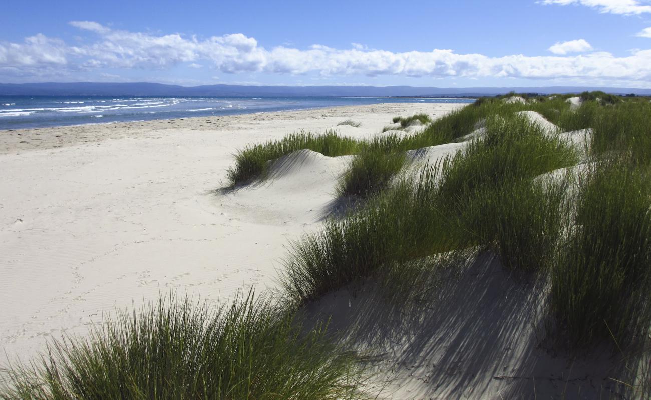 Photo de Sandpiper Beach avec sable lumineux de surface