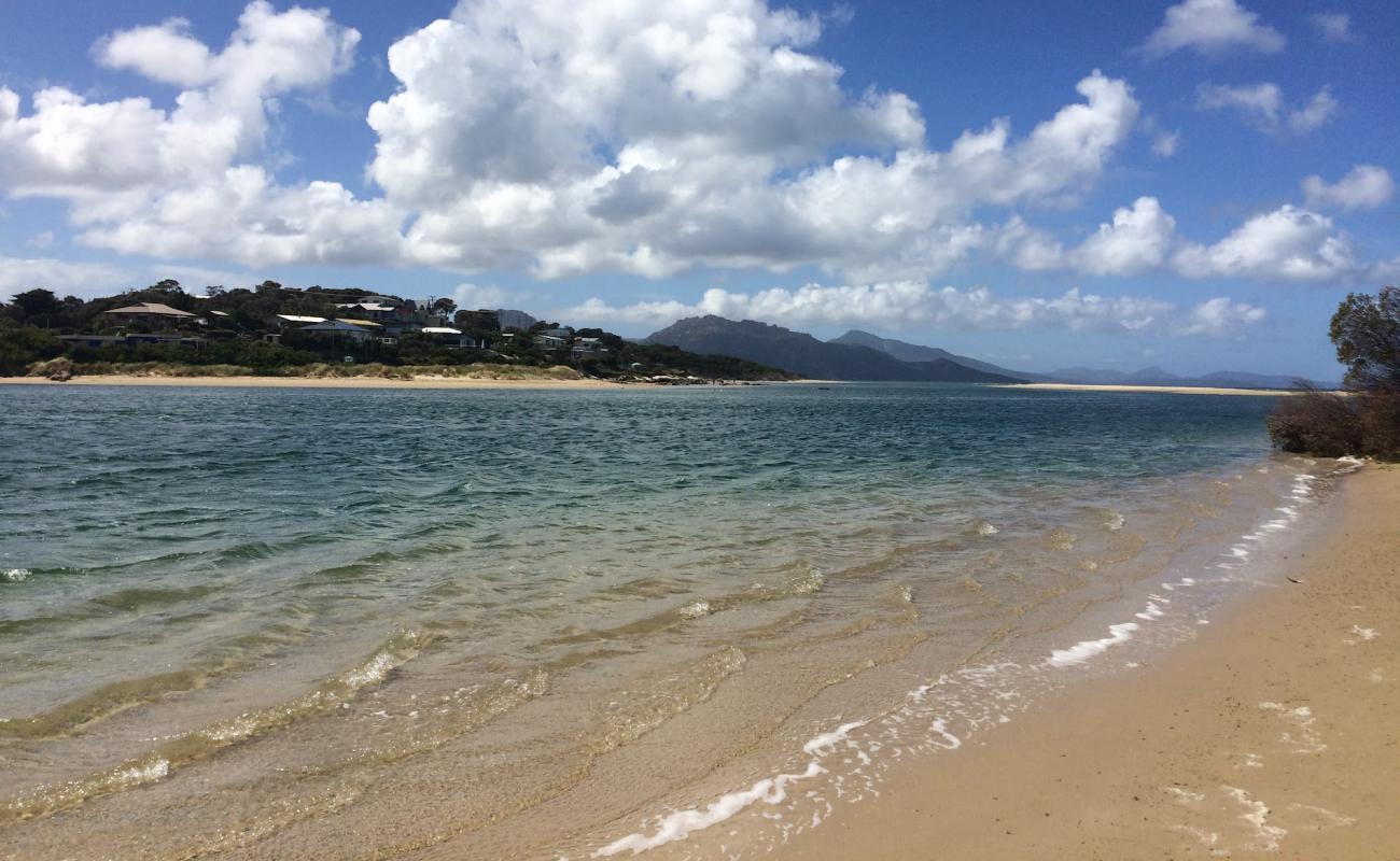Photo de Sandpiper Beach II avec sable beige de surface