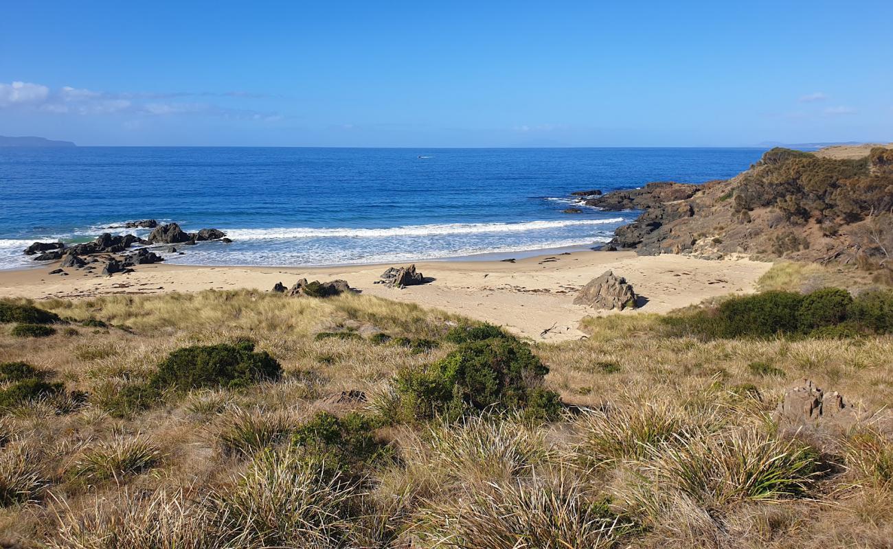 Photo de Cressy Beach avec sable clair avec caillou de surface