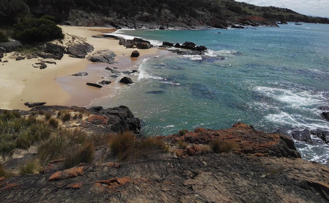 Photo de Spiky Beach avec sable lumineux de surface