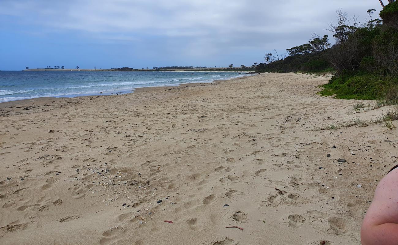 Photo de Mayfield Beach avec sable lumineux de surface