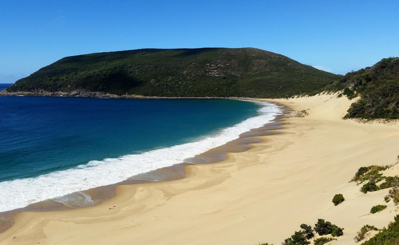 Photo de Cape Pillar Beach avec sable fin et lumineux de surface