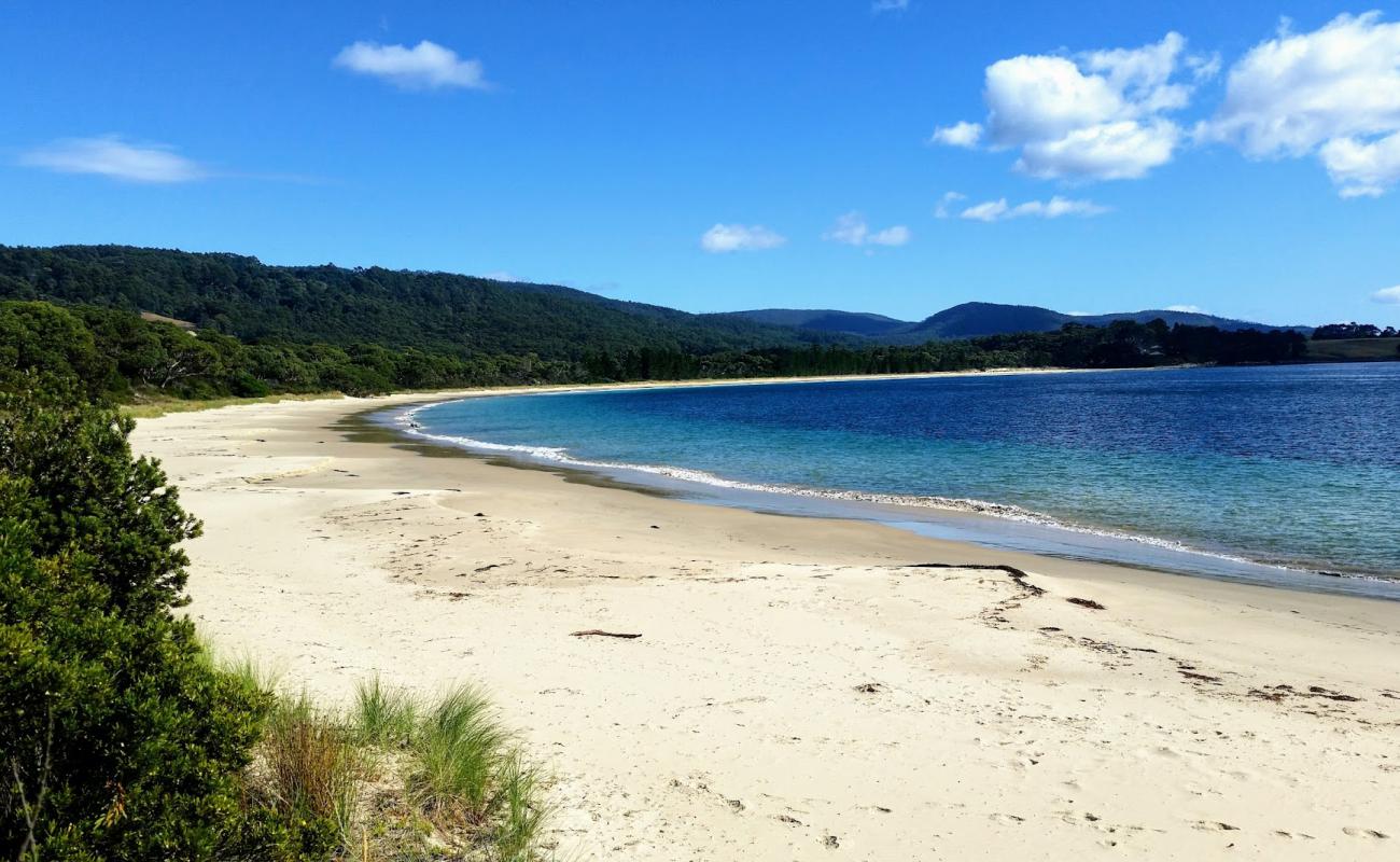 Photo de Safety Cove Beach avec sable fin et lumineux de surface