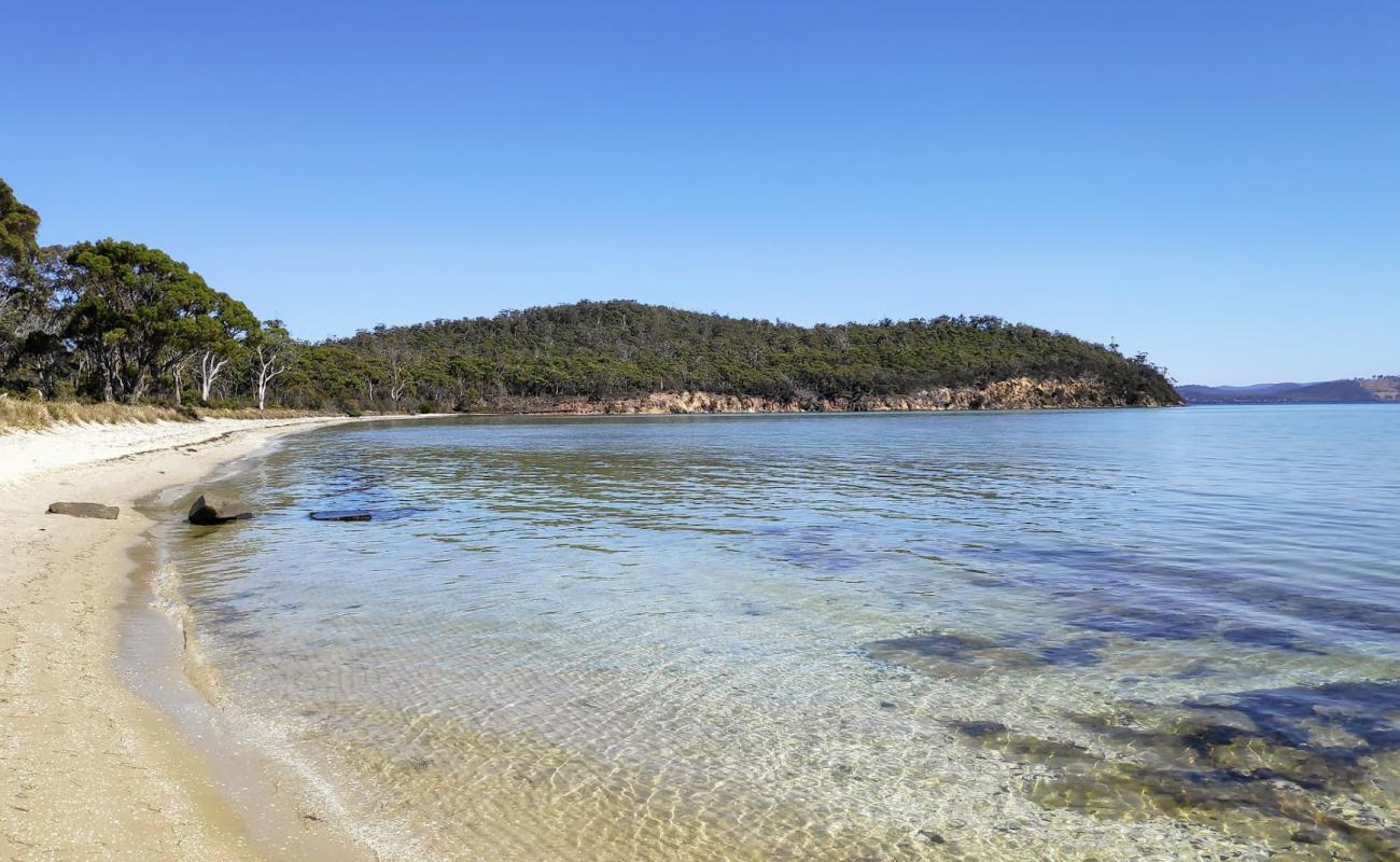 Photo de Sloping Main Beach avec sable lumineux de surface