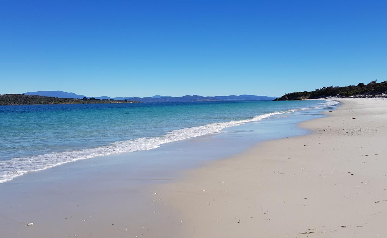 Photo de Lagoon Beach avec sable lumineux de surface