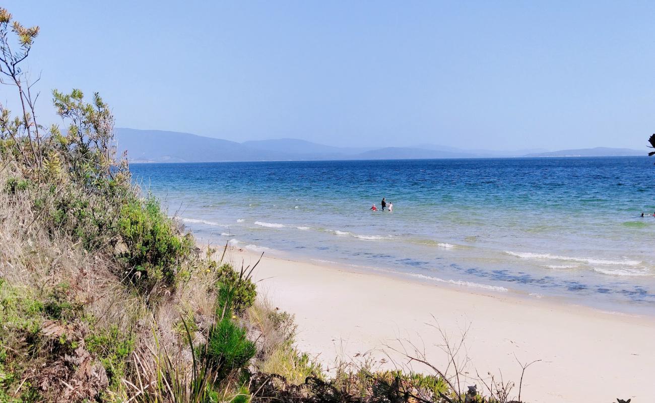 Photo de Ninepin Point Beach avec sable beige de surface