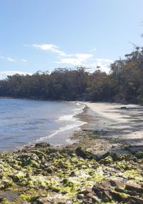 Conseil de Huon Valley