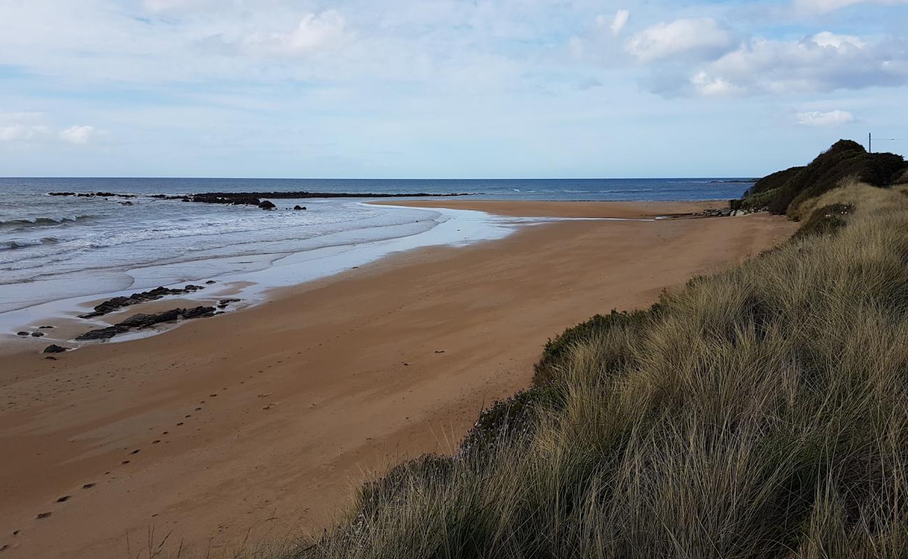 Photo de Cooee Beach avec sable lumineux de surface