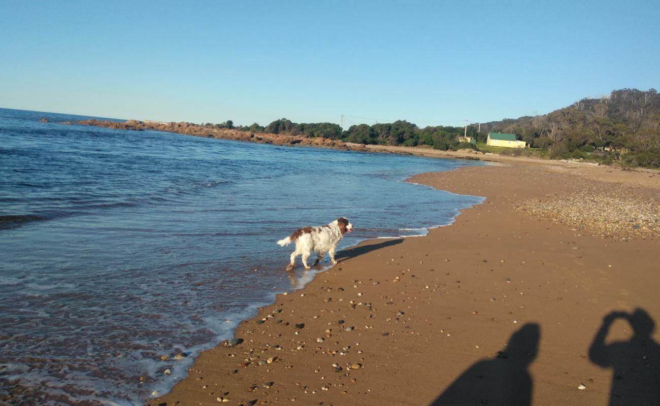 Photo de Tioxide Beach avec sable lumineux de surface