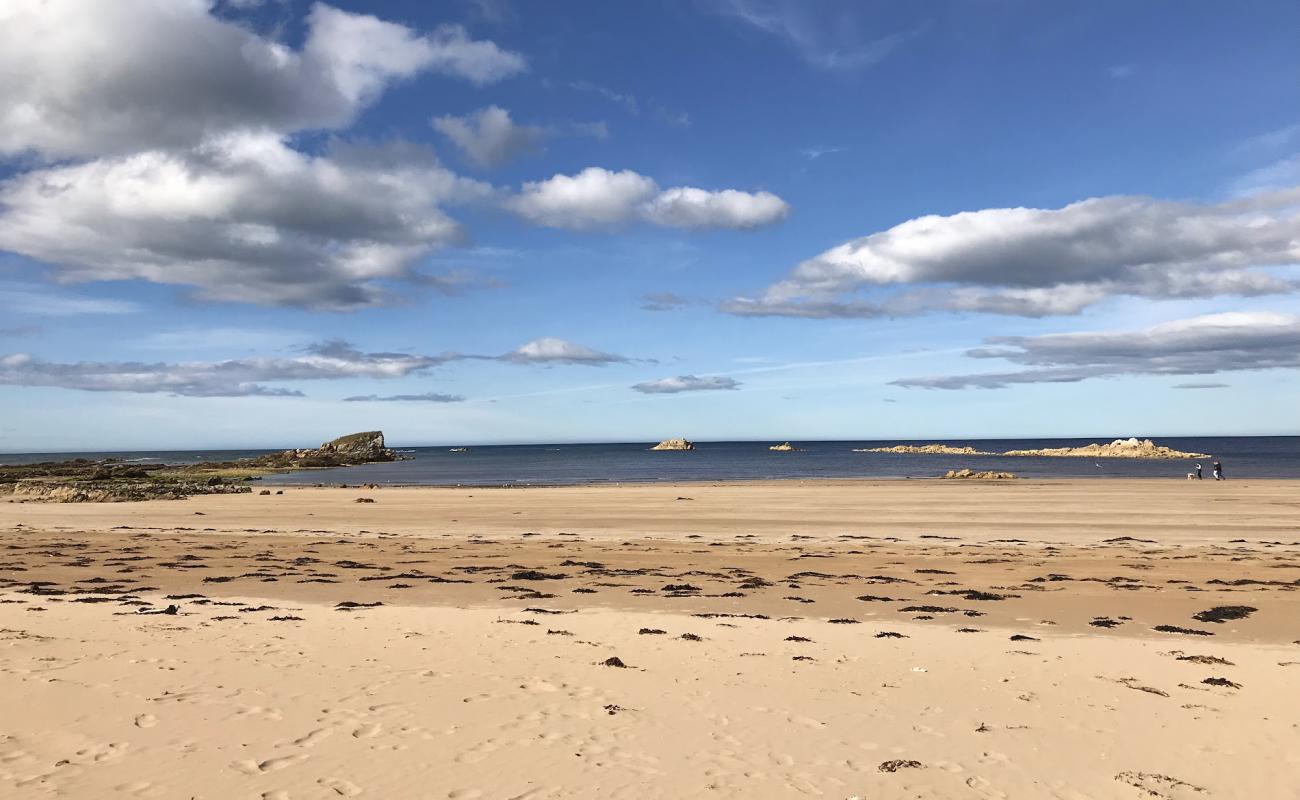 Photo de Picnic Point Beach avec sable lumineux de surface