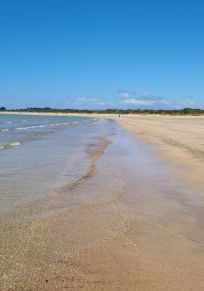 Conseil de West Tamar