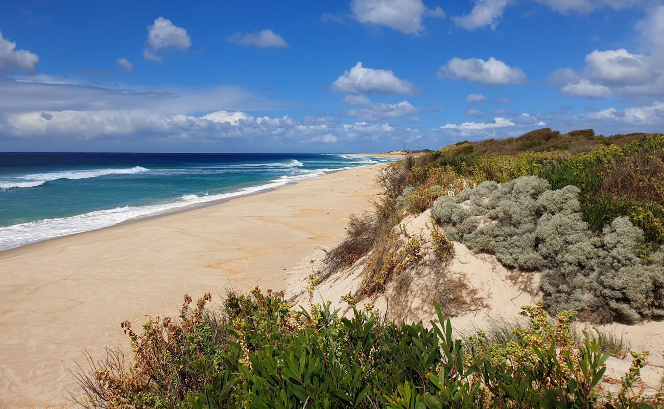 Photo de Lavinia Beach avec sable beige de surface