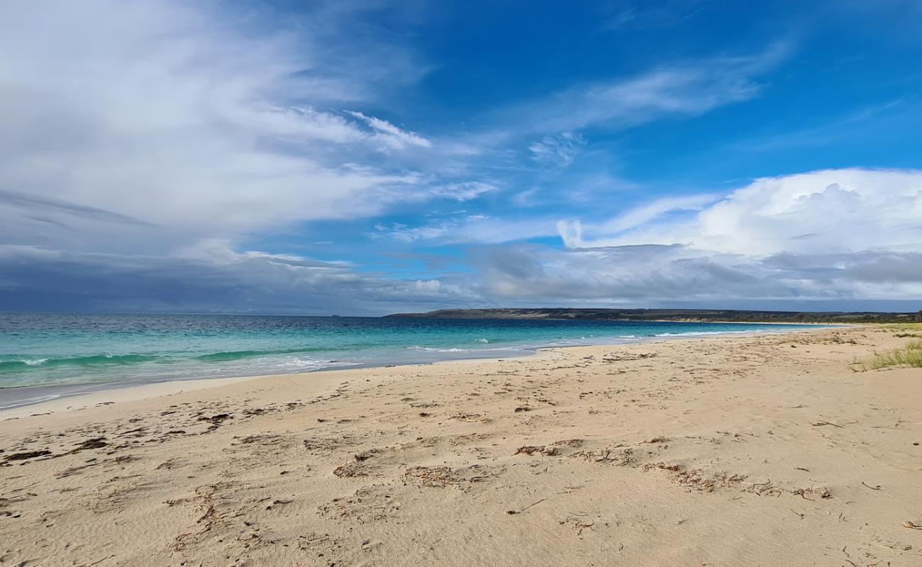 Photo de Antechamber Bay Beach avec sable beige de surface