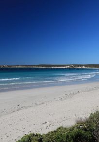 Conseil de l'île Kangourou