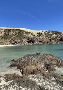Conseil de l'île Kangourou