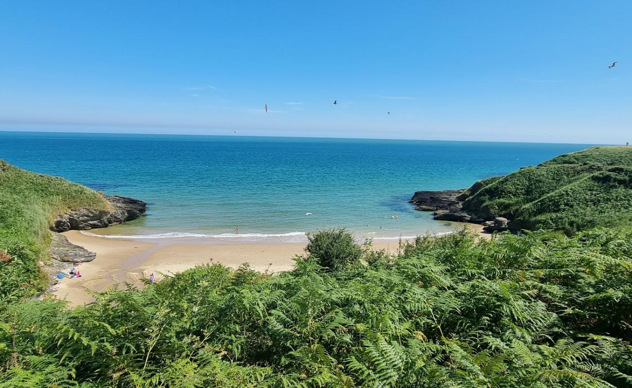 Photo de Blainroe Beach avec sable fin et lumineux de surface