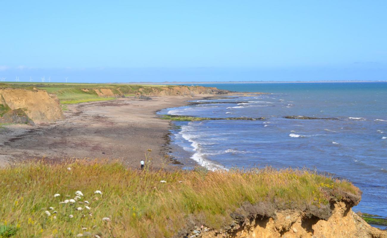 Photo de Blackhall Beach avec sable beige & galets de surface
