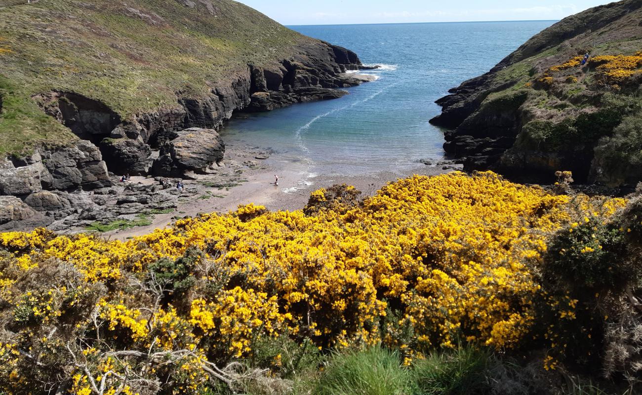 Photo de Portally Cove Beach avec sable brillant et rochers de surface