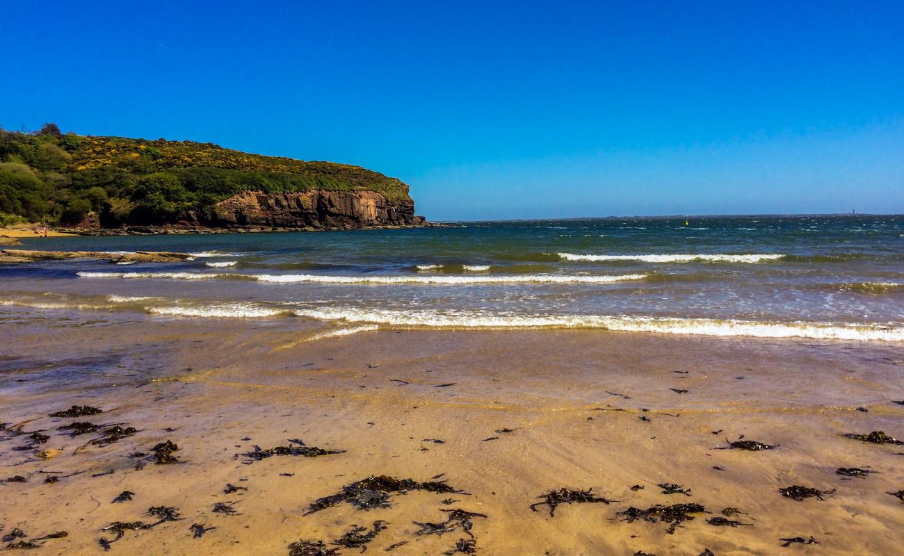 Photo de Annestown Beach avec sable clair avec caillou de surface