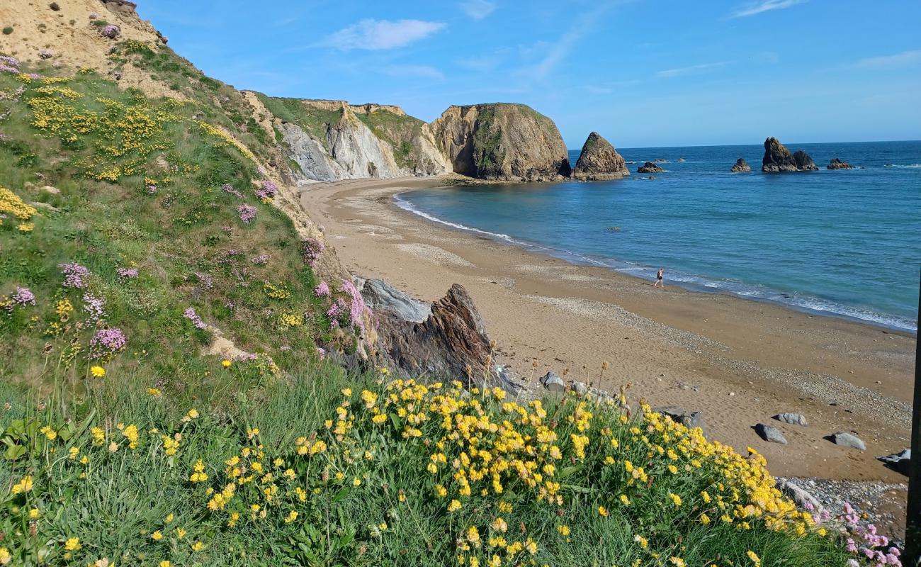 Photo de Benvoy Beach avec sable beige & galets de surface