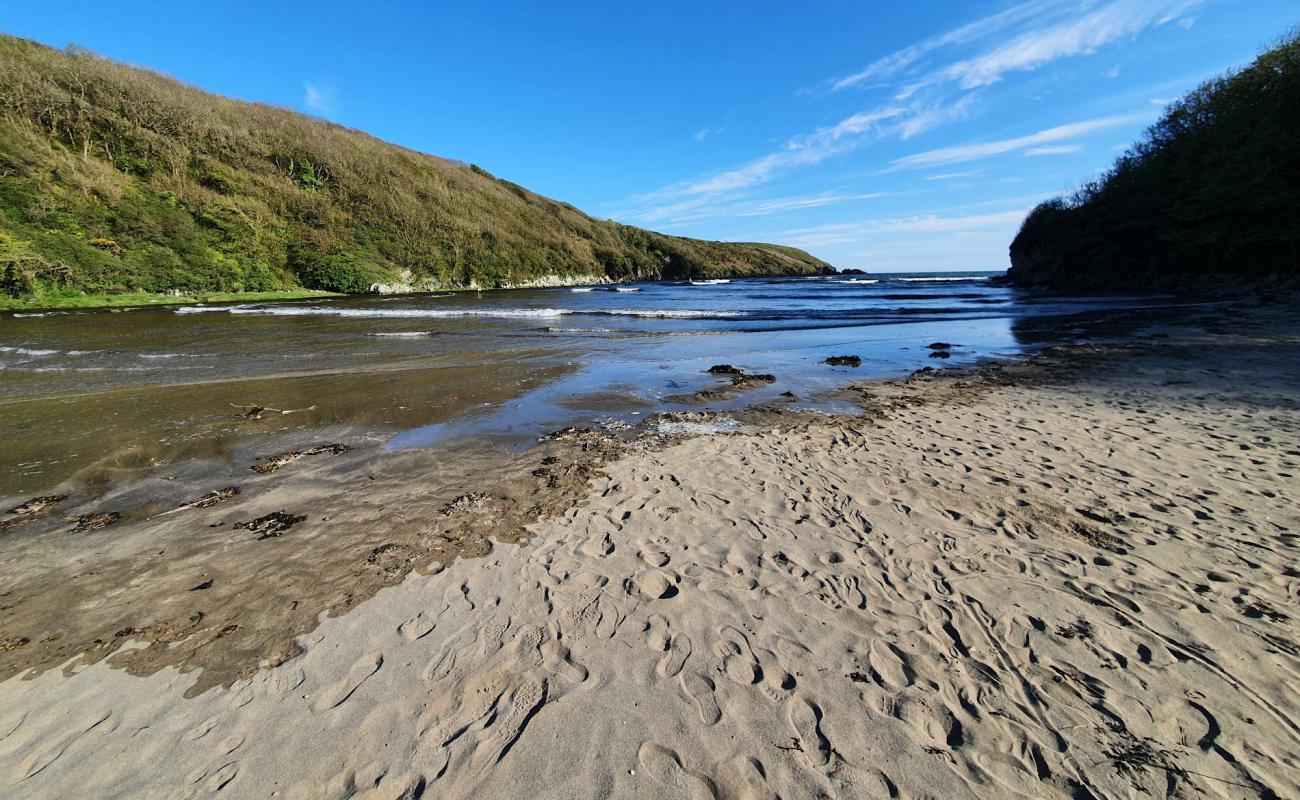 Photo de Stradbally Cove Beach avec sable beige & galets de surface