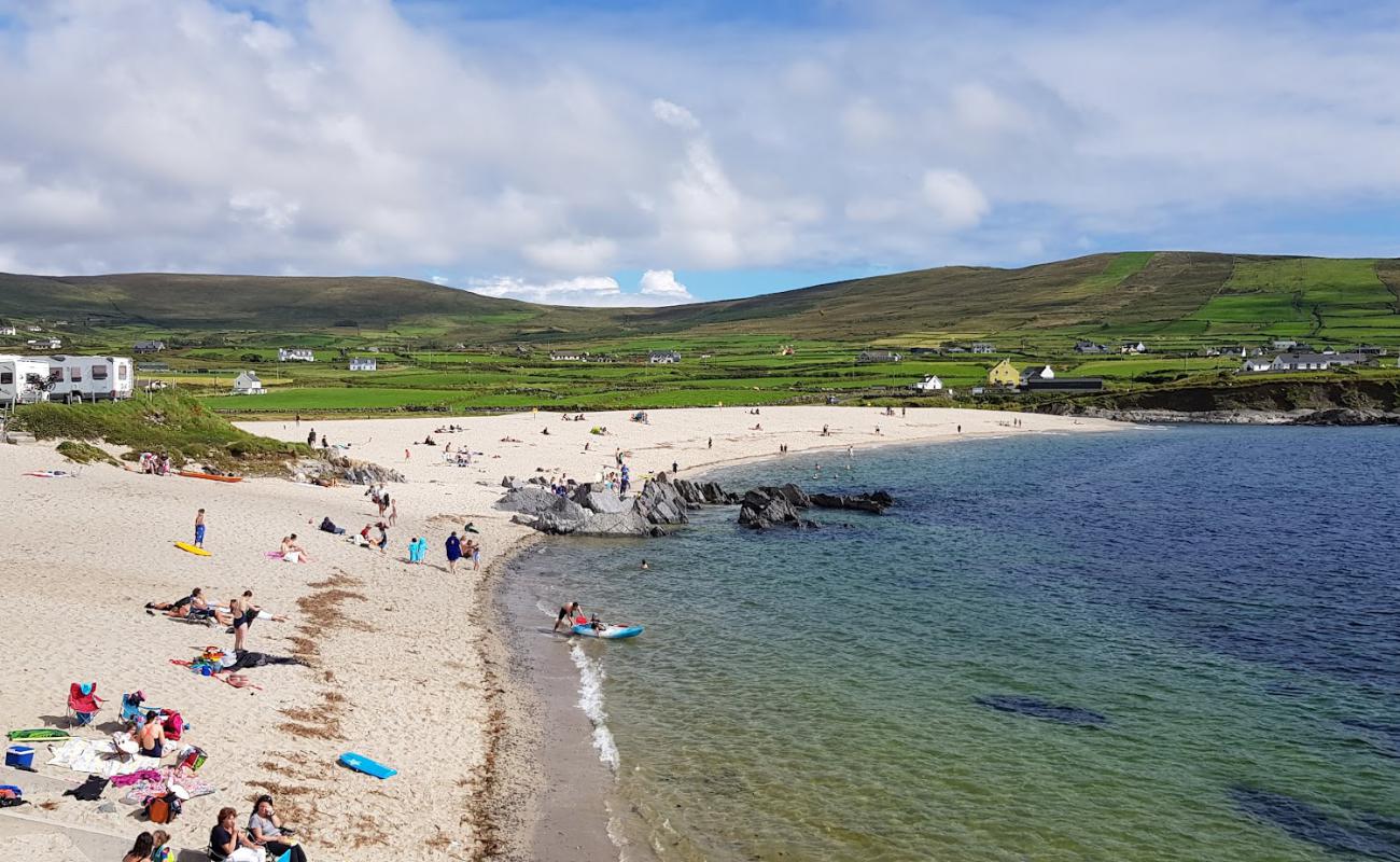Photo de Ballydonegan Beach avec sable beige de surface