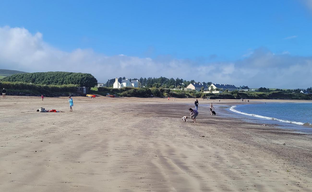 Photo de Ballinskelligs Beach avec sable beige de surface