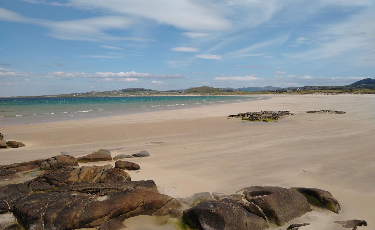 Photo de White Shore Beach avec sable beige de surface