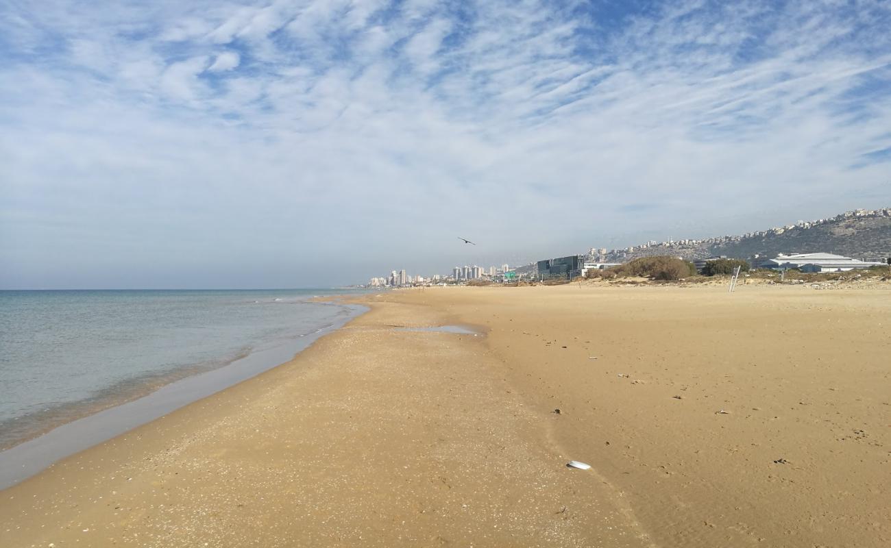 Photo de Hof HaCarmel avec sable lumineux de surface