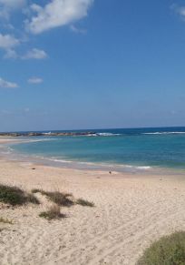 Al-Tantoura