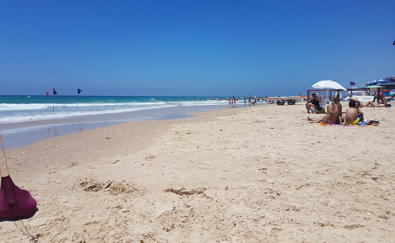 Photo de Separated beach avec sable fin et lumineux de surface