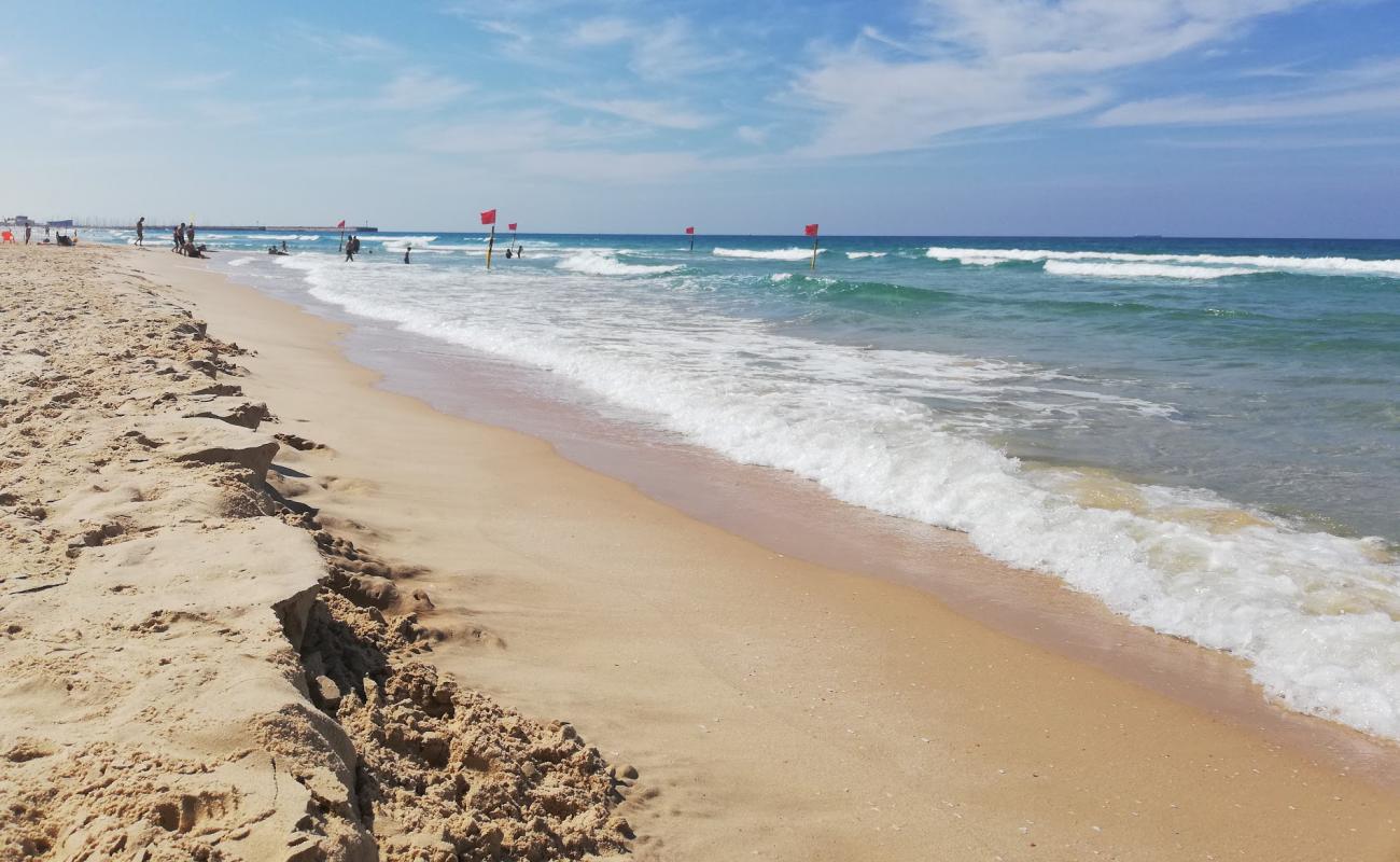 Photo de Oranim beach avec sable fin et lumineux de surface