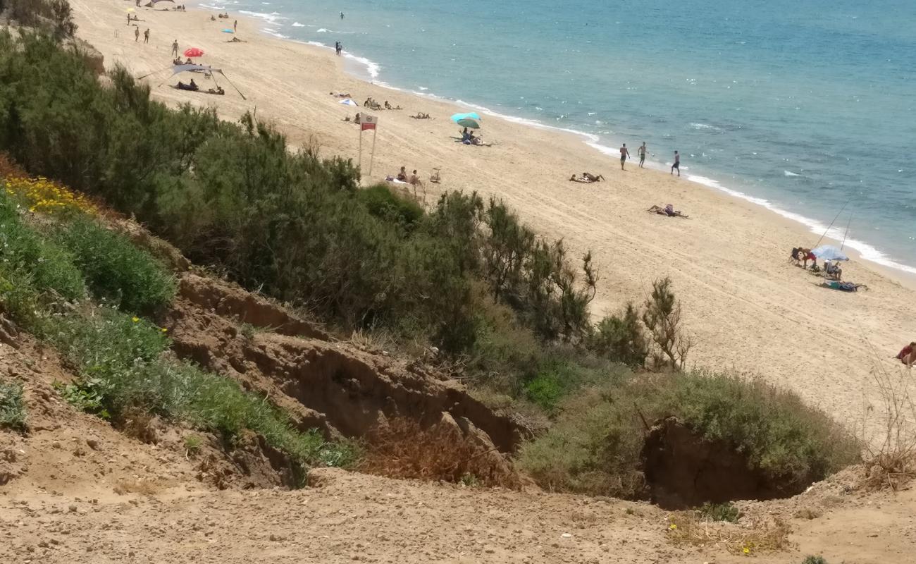 Photo de Hofit beach avec sable fin et lumineux de surface