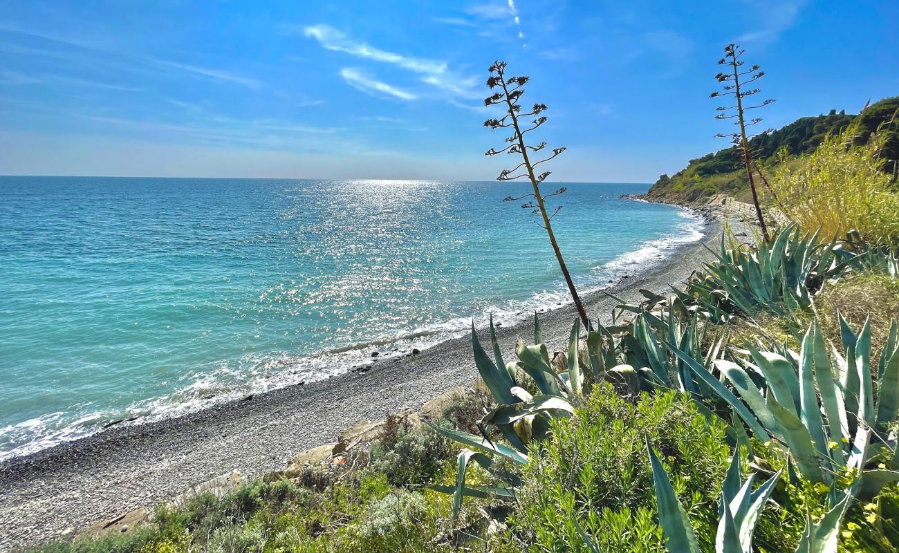 Photo de Arene dog beach avec caillou gris de surface