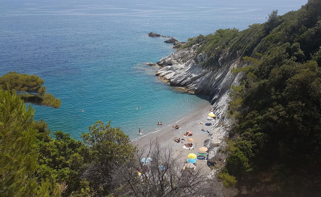 Photo de Transilvania Di Bergeggi avec caillou fin gris de surface