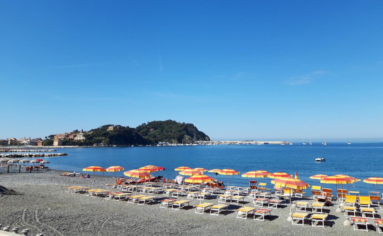 Photo de Spiaggia per cani avec caillou fin gris de surface