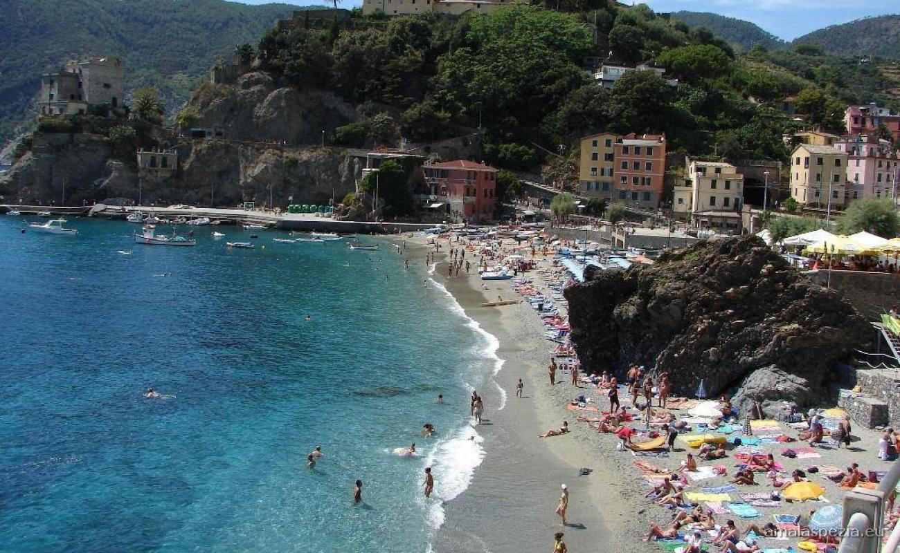 Photo de Tiburon beach avec caillou fin brun de surface