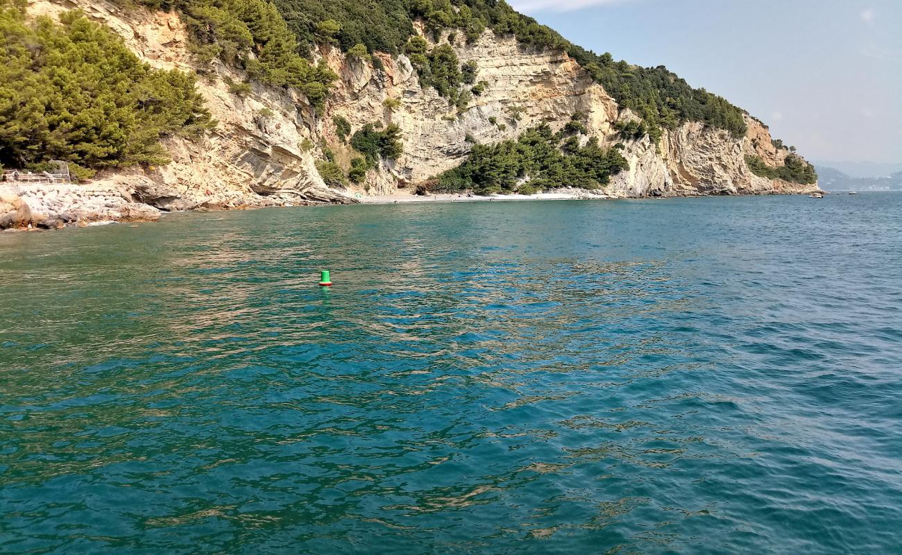 Photo de Pozzale beach avec roches de surface