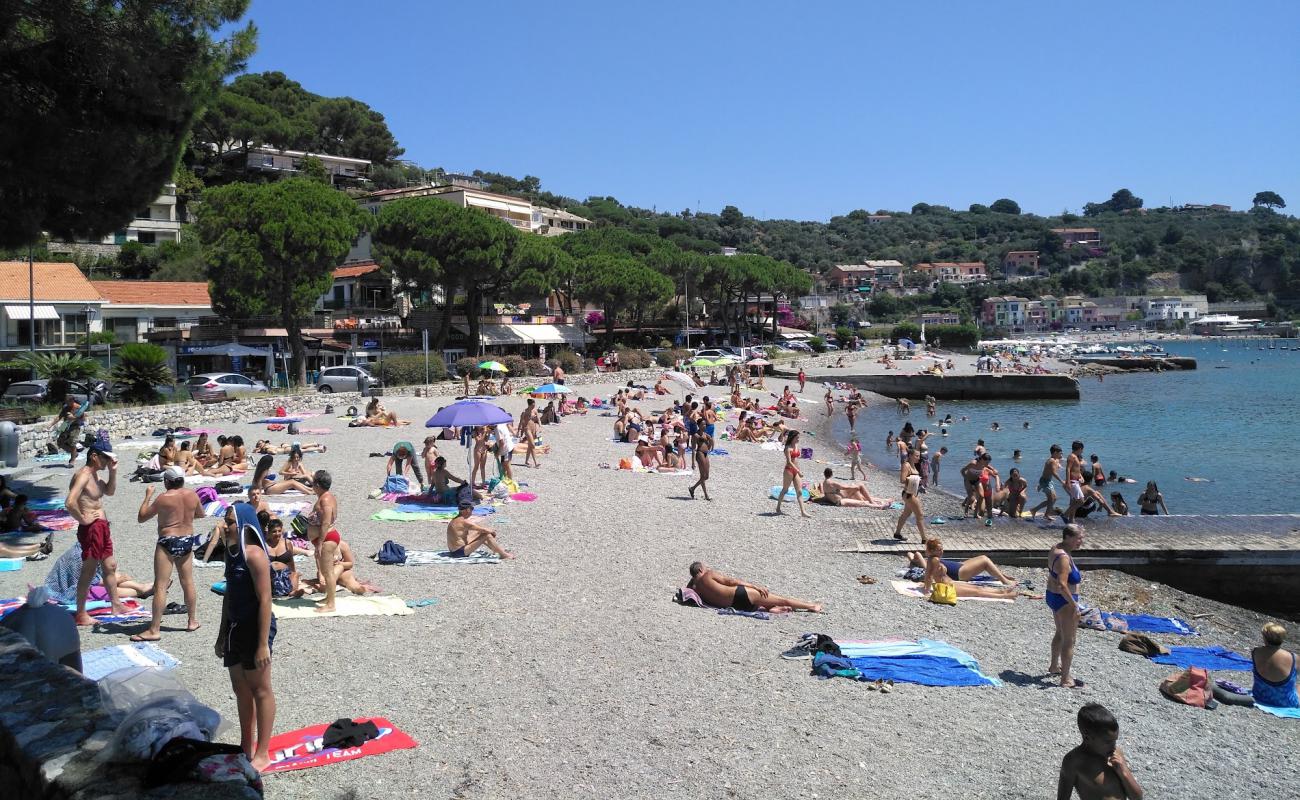 Photo de Olive beach avec caillou fin gris de surface