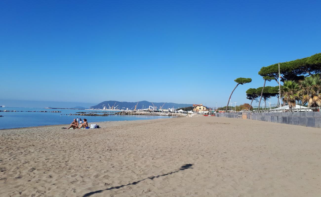 Photo de Marina di Massa avec sable brun de surface