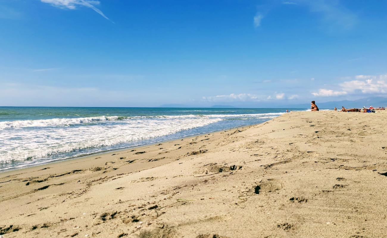 Photo de Spiaggia della Lecciona avec sable lumineux de surface