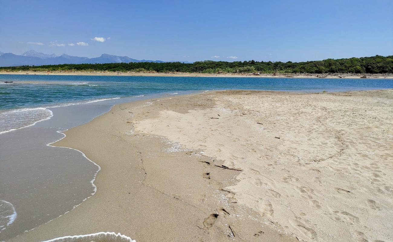 Photo de Spiaggia del Serpente avec sable beige de surface